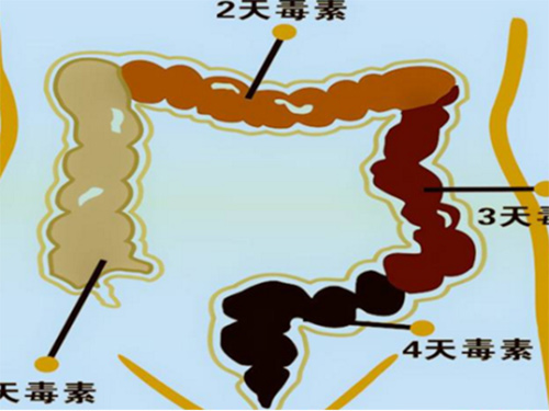 兩招吃遍天，原來(lái)腸道還能這樣清理，你學(xué)會(huì)了嗎？